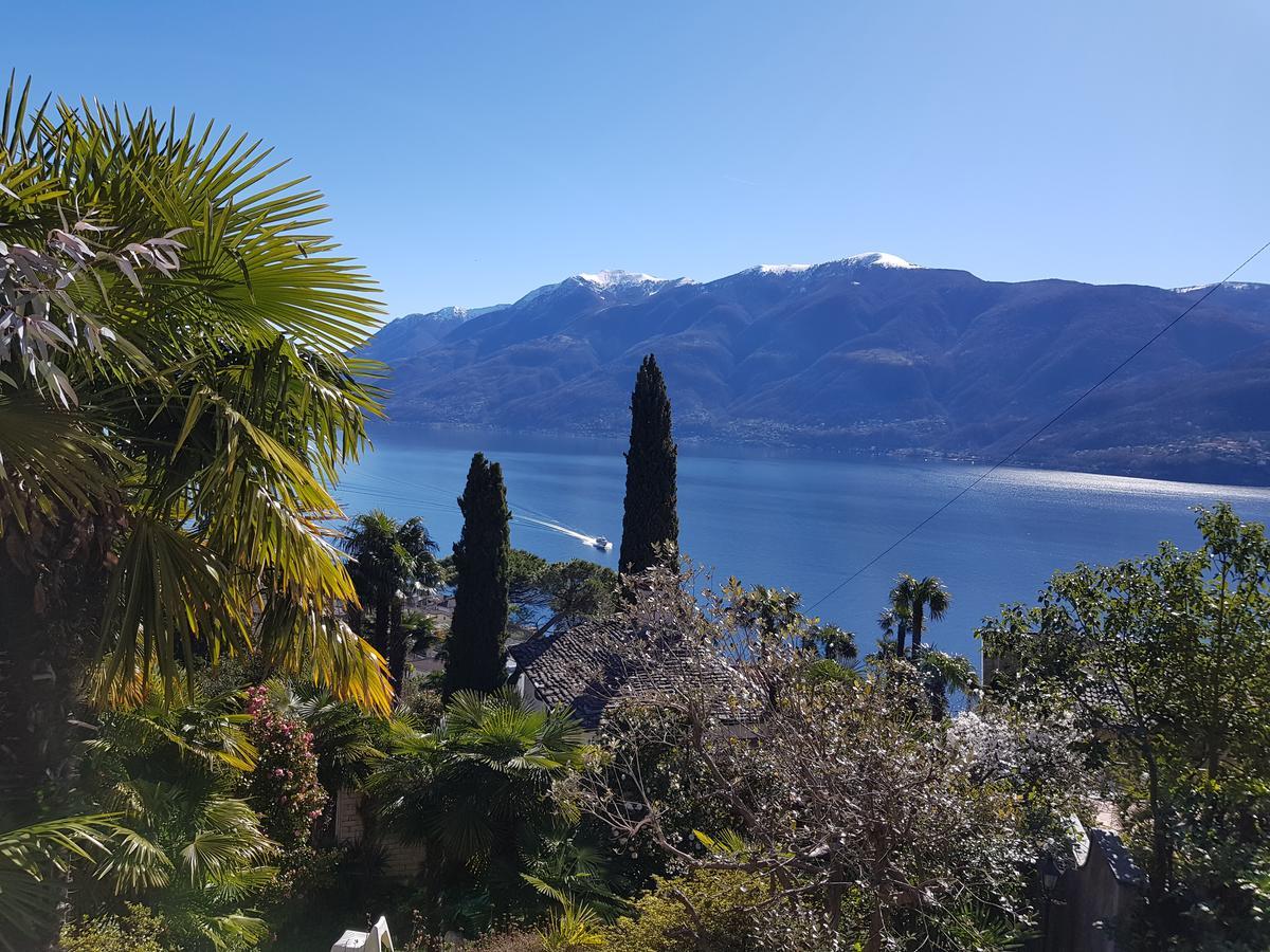 Residence Venus Garden Brissago Dış mekan fotoğraf